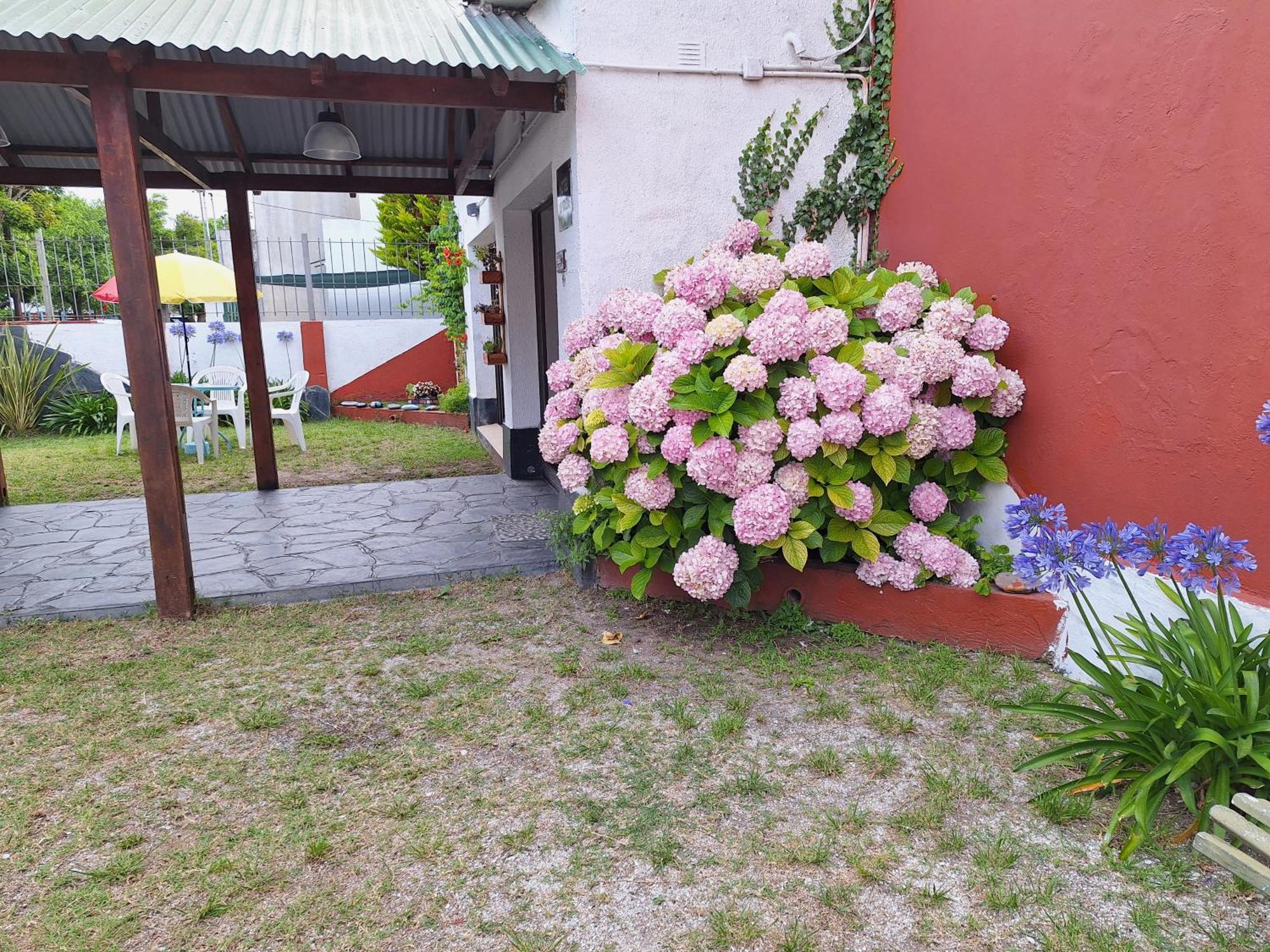 Violetas Hotel 2*