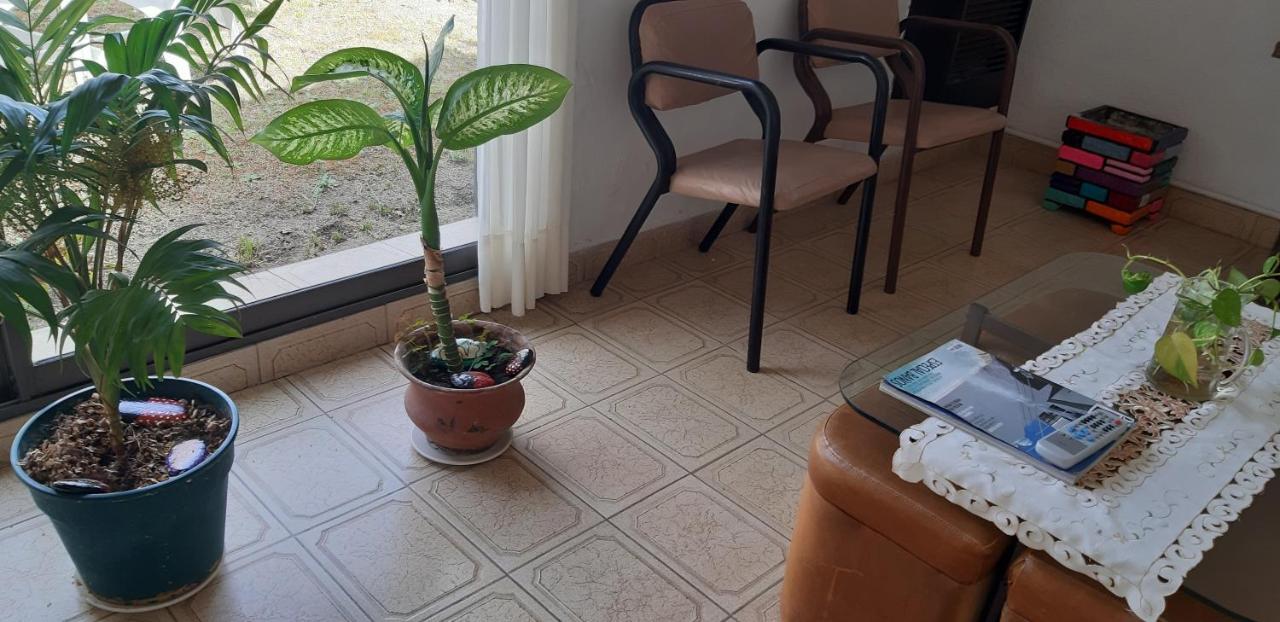 Hotel Violetas 2*